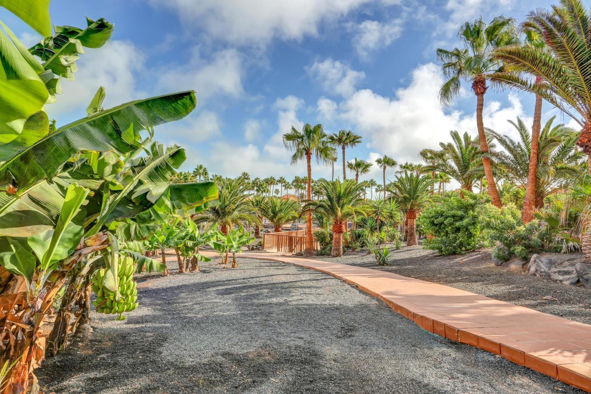 Apartamento Oasis Royal Corralejo Exterior foto